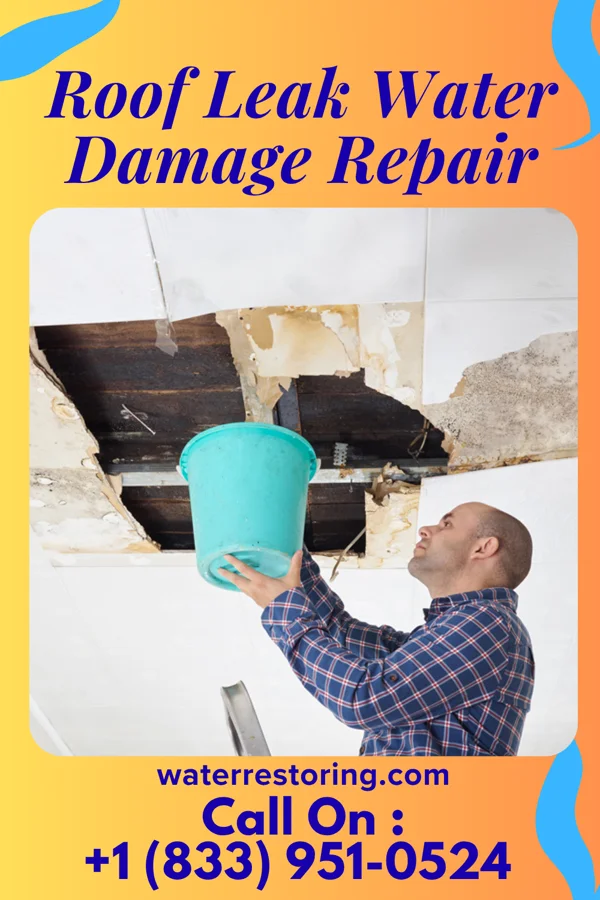 Roof Leak Water Damage Repair in Medina, ND
